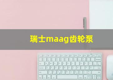 瑞士maag齿轮泵