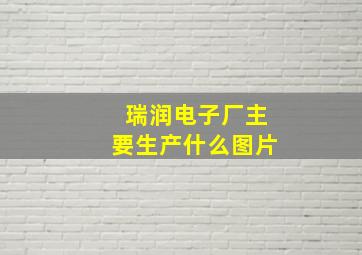 瑞润电子厂主要生产什么图片