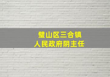 璧山区三合镇人民政府阴主任