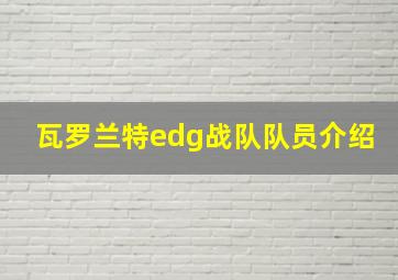 瓦罗兰特edg战队队员介绍