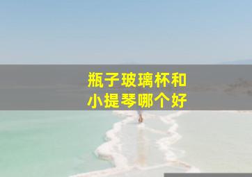 瓶子玻璃杯和小提琴哪个好