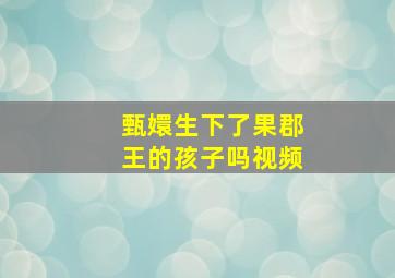 甄嬛生下了果郡王的孩子吗视频