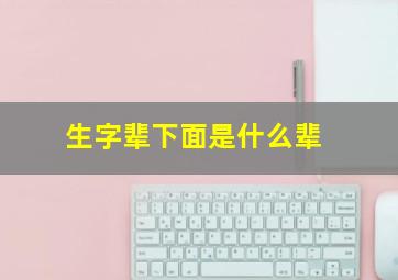 生字辈下面是什么辈