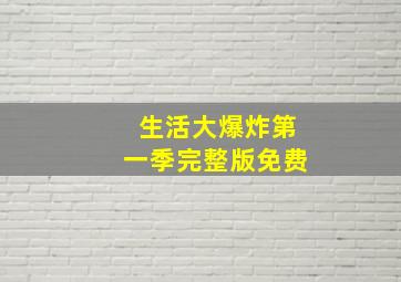 生活大爆炸第一季完整版免费