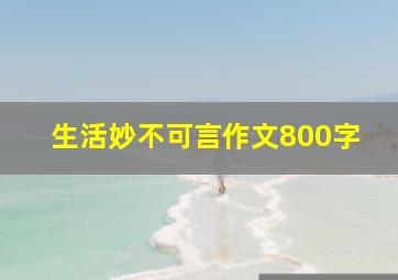 生活妙不可言作文800字