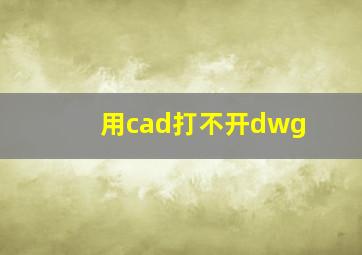 用cad打不开dwg