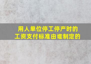 用人单位停工停产时的工资支付标准由谁制定的