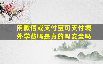 用微信或支付宝可支付境外学费吗是真的吗安全吗