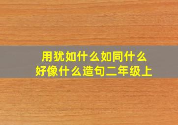 用犹如什么如同什么好像什么造句二年级上