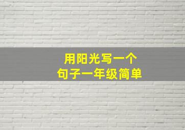 用阳光写一个句子一年级简单