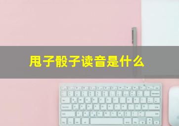 甩子骰子读音是什么