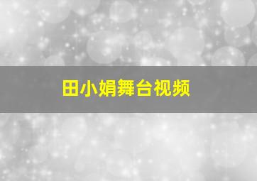 田小娟舞台视频