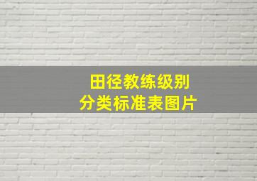 田径教练级别分类标准表图片