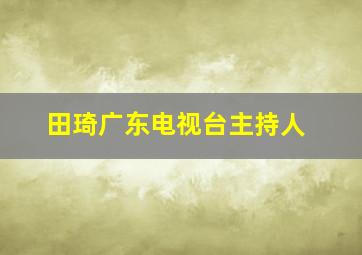 田琦广东电视台主持人