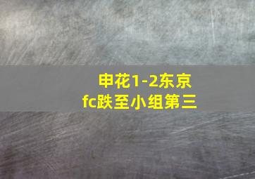 申花1-2东京fc跌至小组第三