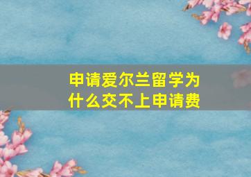 申请爱尔兰留学为什么交不上申请费