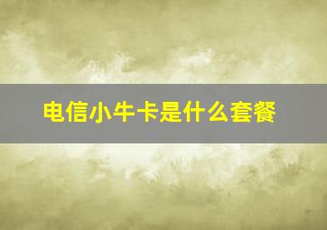 电信小牛卡是什么套餐