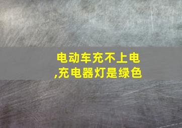 电动车充不上电,充电器灯是绿色