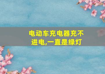 电动车充电器充不进电,一直是绿灯