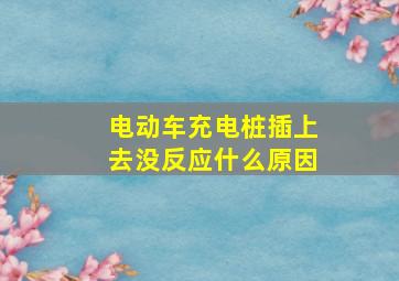 电动车充电桩插上去没反应什么原因