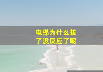 电梯为什么按了没反应了呢