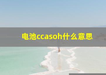 电池ccasoh什么意思