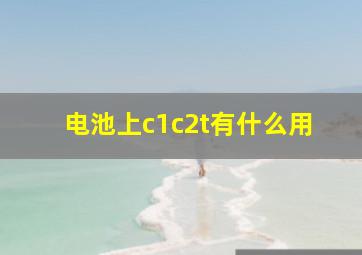 电池上c1c2t有什么用