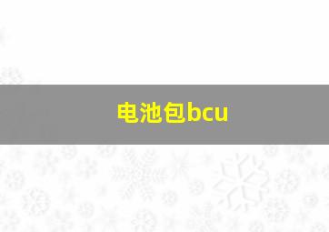 电池包bcu