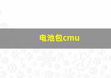 电池包cmu