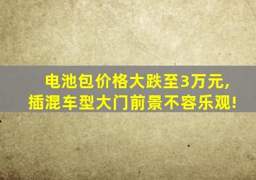 电池包价格大跌至3万元,插混车型大门前景不容乐观!