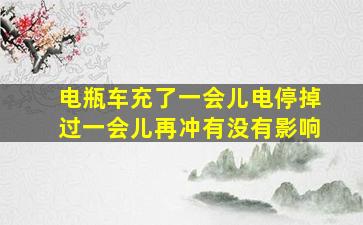 电瓶车充了一会儿电停掉过一会儿再冲有没有影响