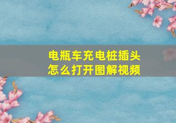 电瓶车充电桩插头怎么打开图解视频