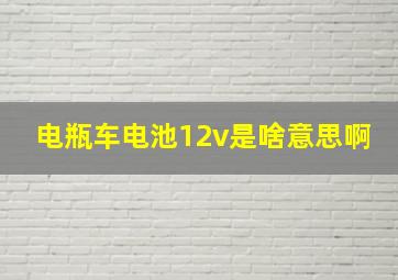 电瓶车电池12v是啥意思啊