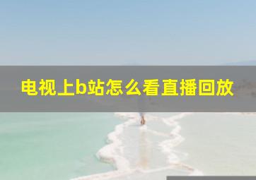 电视上b站怎么看直播回放