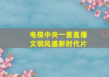 电视中央一套直播文明风盛新时代片