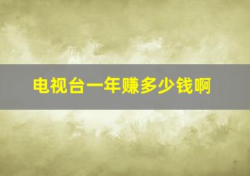 电视台一年赚多少钱啊