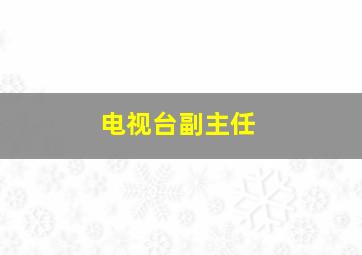 电视台副主任