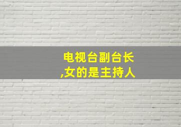 电视台副台长,女的是主持人