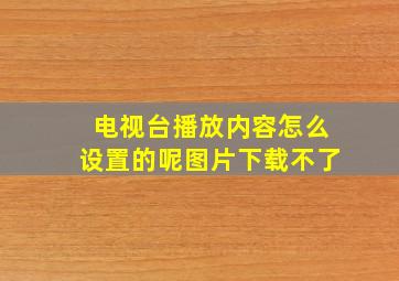 电视台播放内容怎么设置的呢图片下载不了