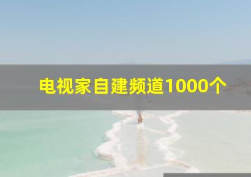 电视家自建频道1000个