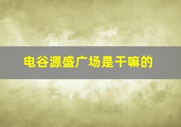 电谷源盛广场是干嘛的