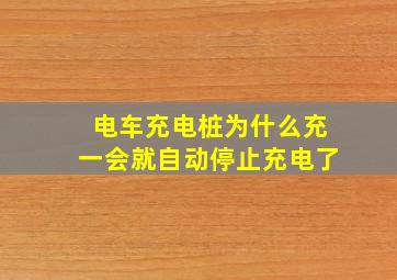 电车充电桩为什么充一会就自动停止充电了