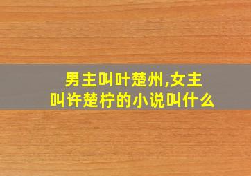 男主叫叶楚州,女主叫许楚柠的小说叫什么