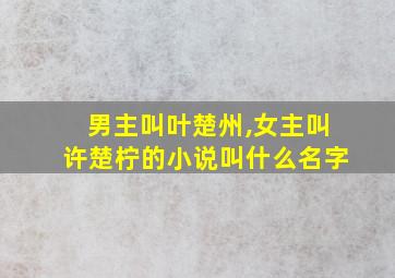 男主叫叶楚州,女主叫许楚柠的小说叫什么名字