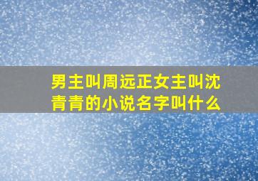 男主叫周远正女主叫沈青青的小说名字叫什么