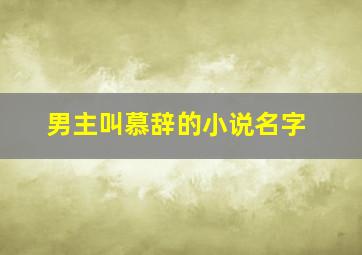 男主叫慕辞的小说名字