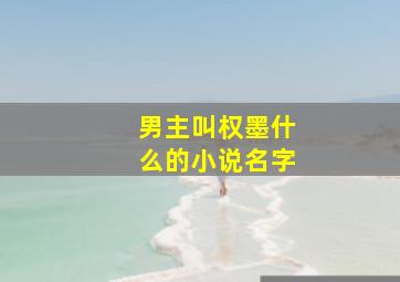 男主叫权墨什么的小说名字