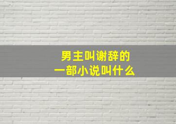 男主叫谢辞的一部小说叫什么