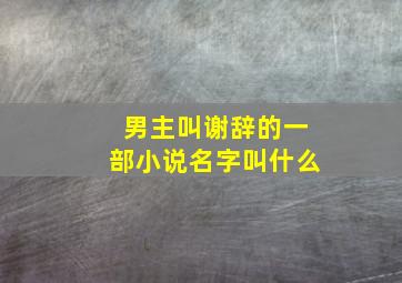 男主叫谢辞的一部小说名字叫什么