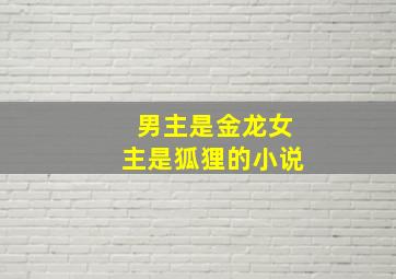 男主是金龙女主是狐狸的小说